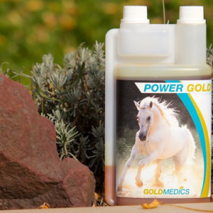 POWER GOLD supports the horse with muscle building and helps with rehabilitation.