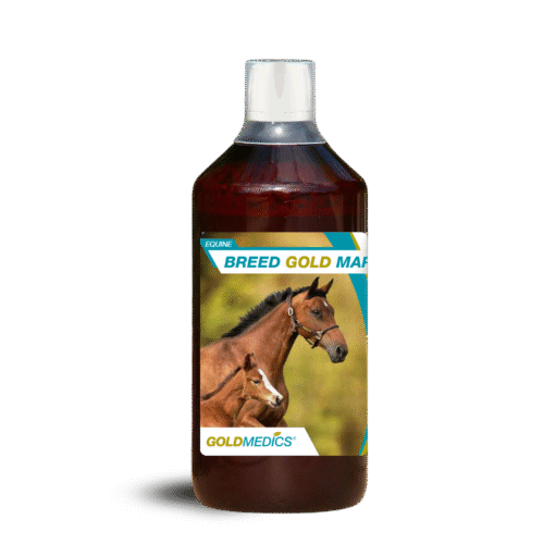 BREEDGOLDMAREP1