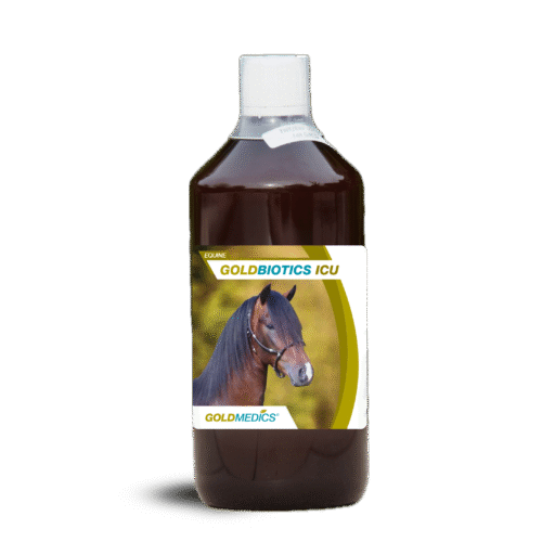 Goldbiotics paard1